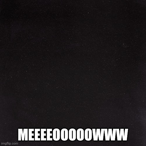 5dm9l3.jpg