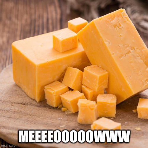5dmy0q.jpg