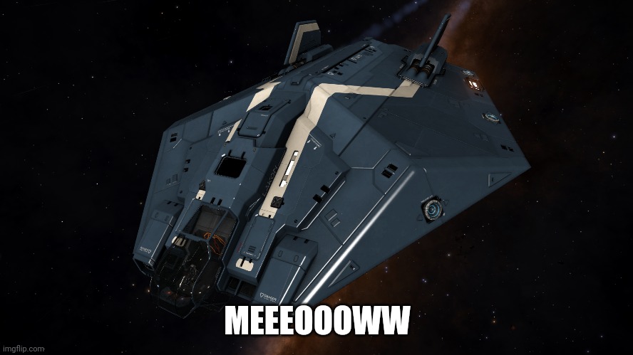 5dv003.jpg