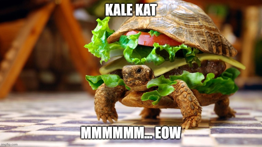 5e8od2.jpg