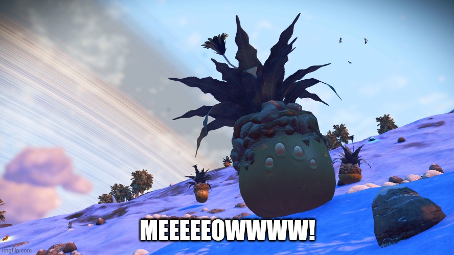 5eb0k7.jpg