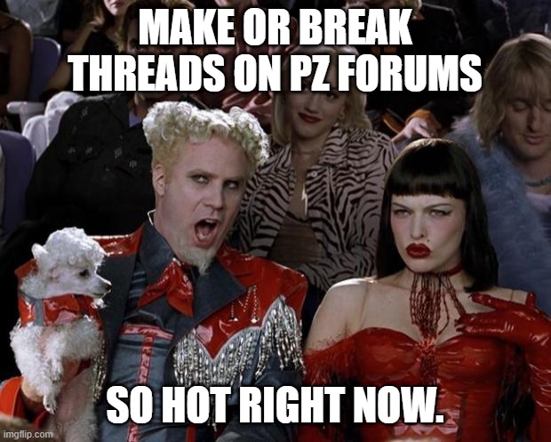 5wvfrd.jpg
