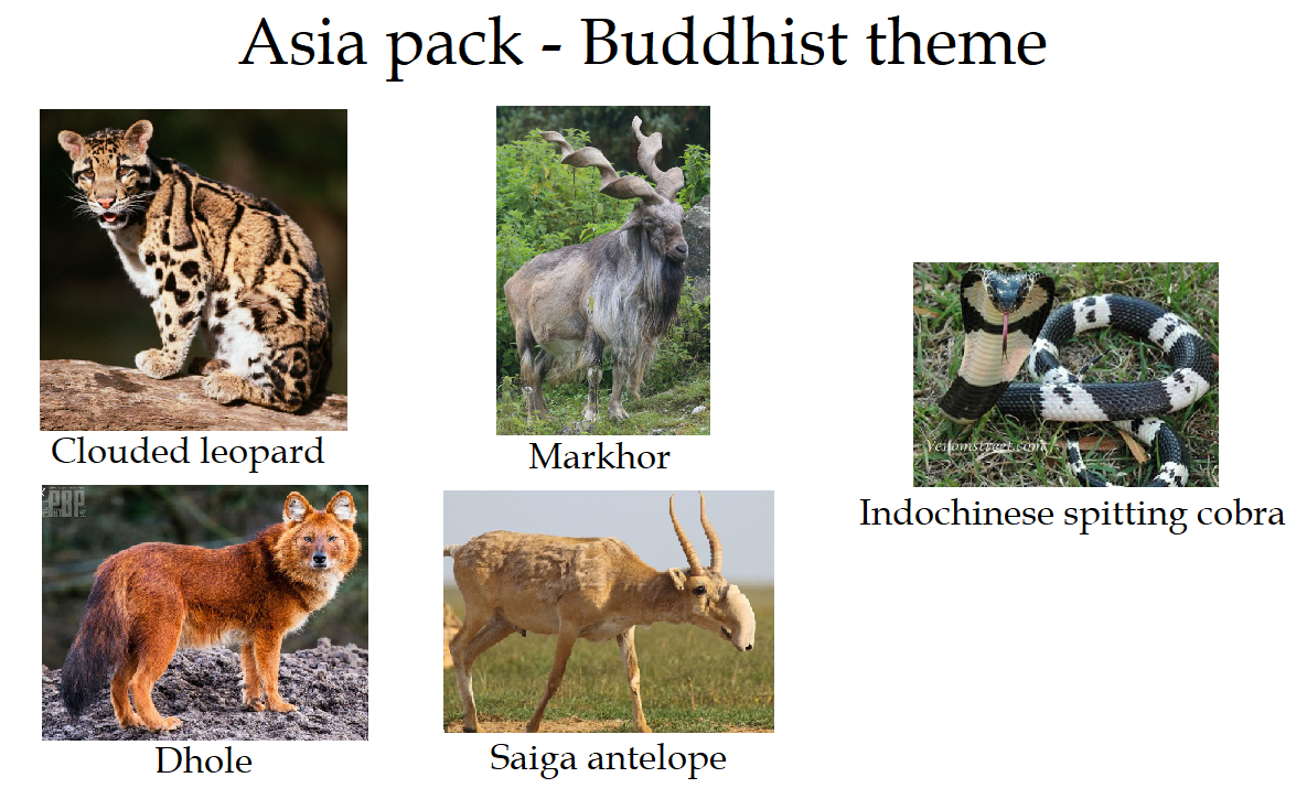 6 asia.png