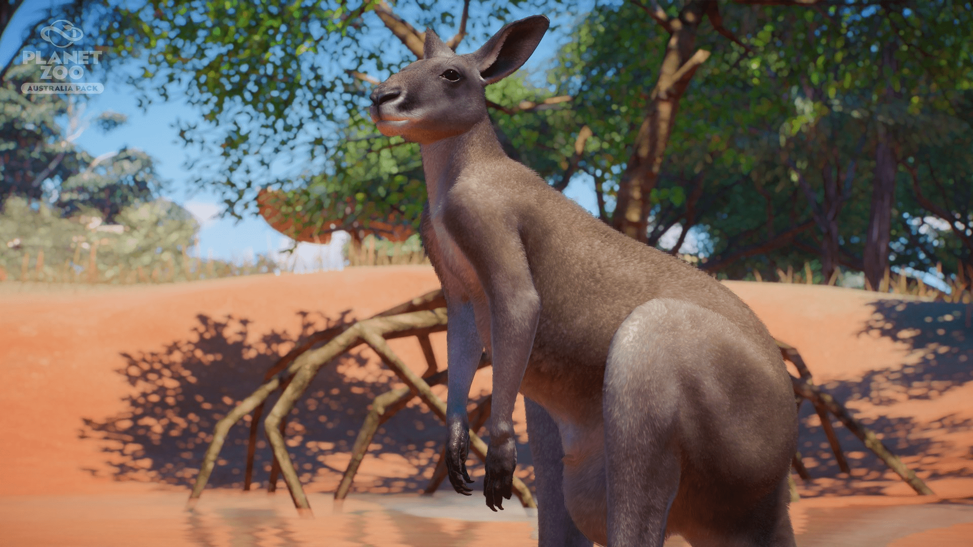 601063-Planet-Zoo-Red-Kangaroo.png