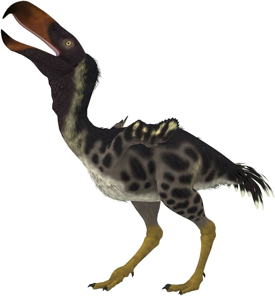61Jxu5BTsJL._AC_UF894,1000_QL80_.jpg