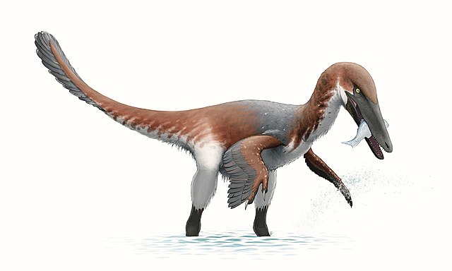 640px-Austroraptor_Reconstruction 1.jpg