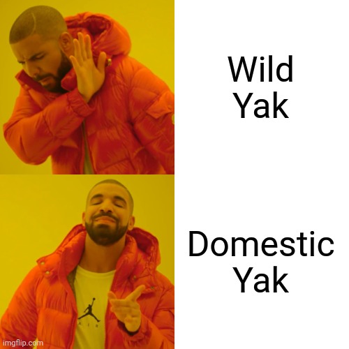 6w782j.jpg