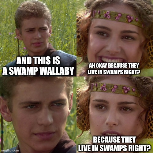 70dwfk.jpg