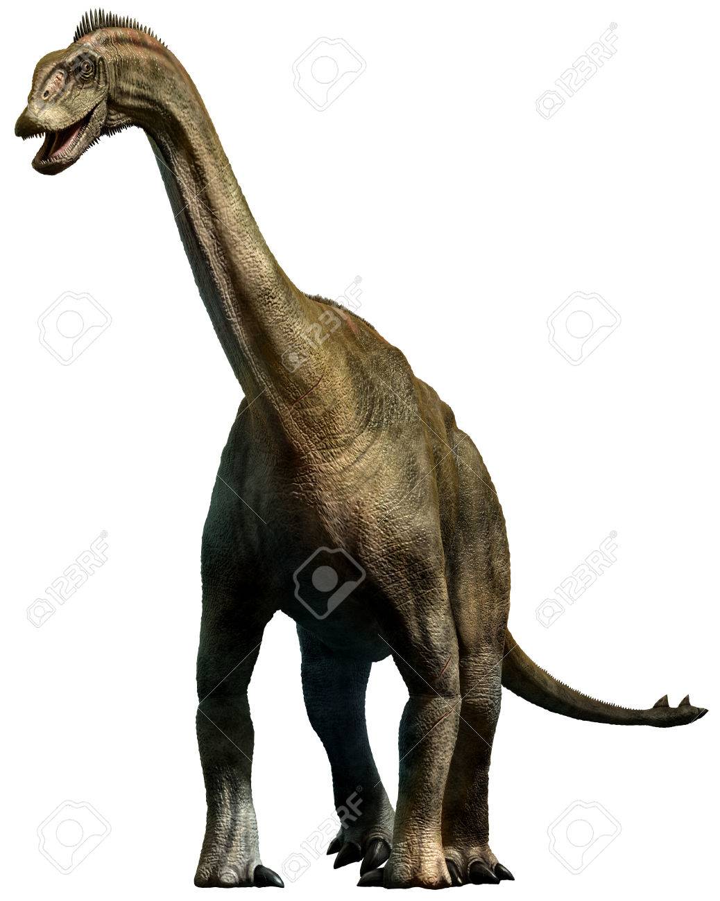 75627302-shunosaurus.jpg