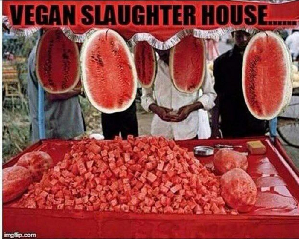 771374_253681-VeganSlaughterhouse.jpg
