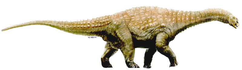 799px-Diamantinasaurus.png
