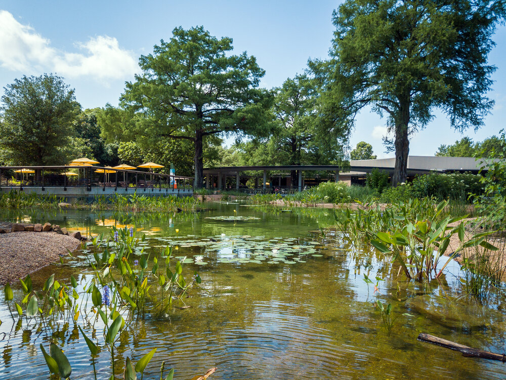 7_Texas+Wetlands+Aerial-0016-0037_SAdams.jpg