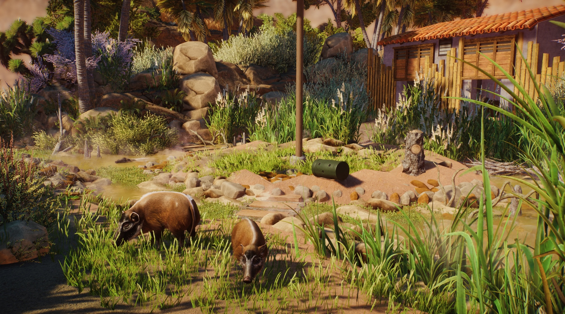 Red River Hog Habitat (Desert themed Zoo) | Frontier Forums