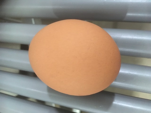 7C4D9AE9-A8B9-487E-B0BC-9D8A30AB1047.jpeg