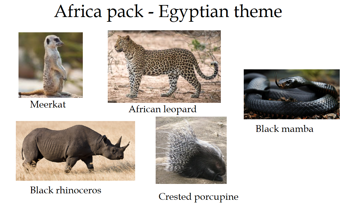 8 africa.png
