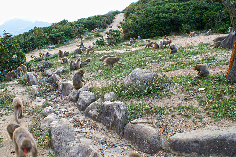 800px-Choshikei05bs5.jpg