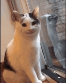 83ADC64E-A50D-43A9-A4AD-C9D0E04F4B98.gif
