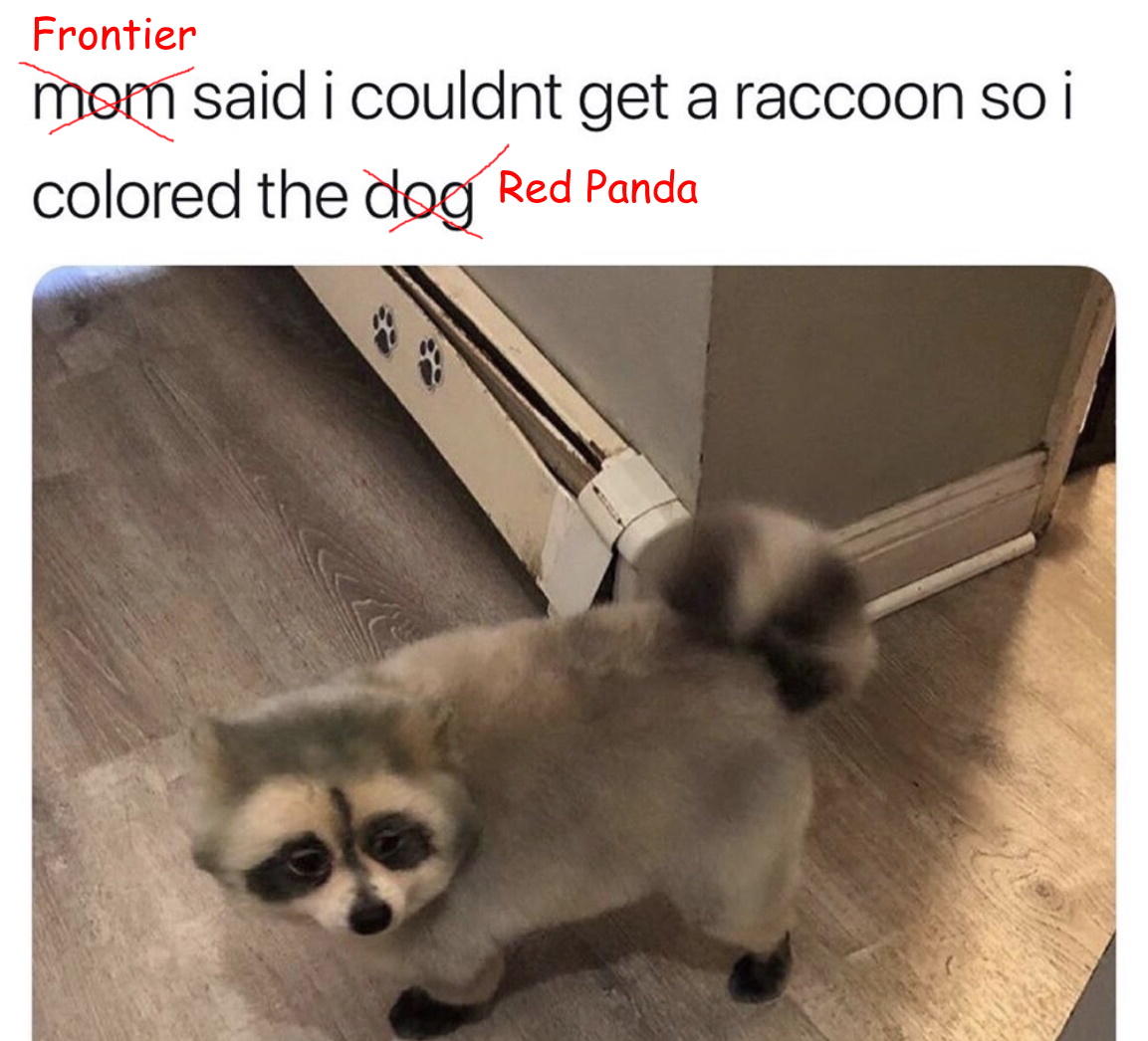 86031753.jpg