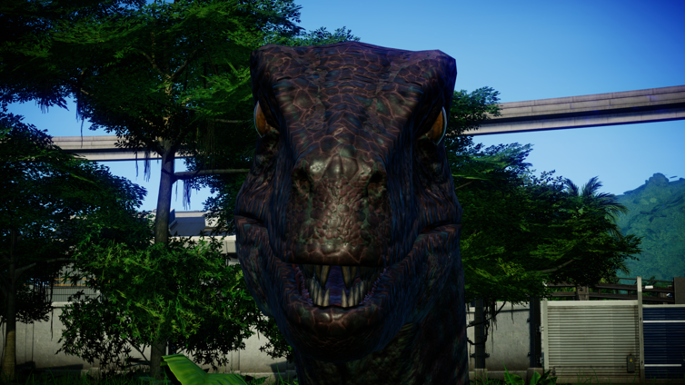 8aa8c62a-6e9d-4da7-abca-6ae7450ad0e9_Thumbnail.PNG