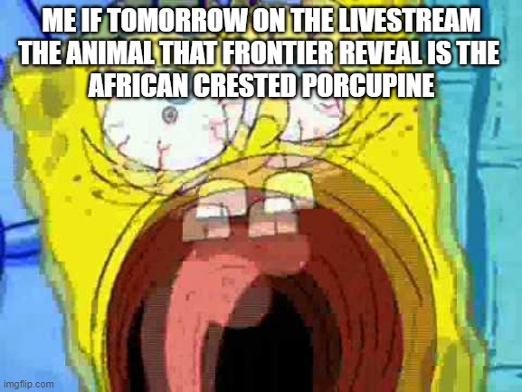 8fc7df.jpg