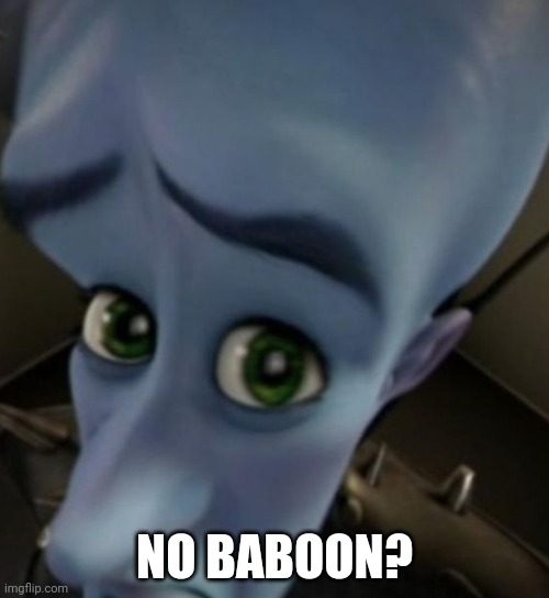 8neawk.jpg