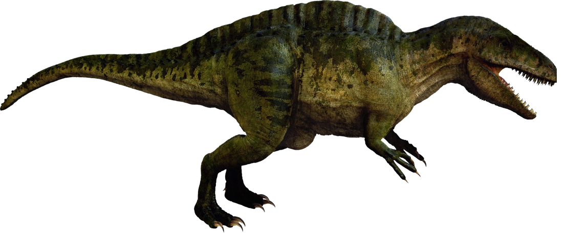 9032008_orig.png
