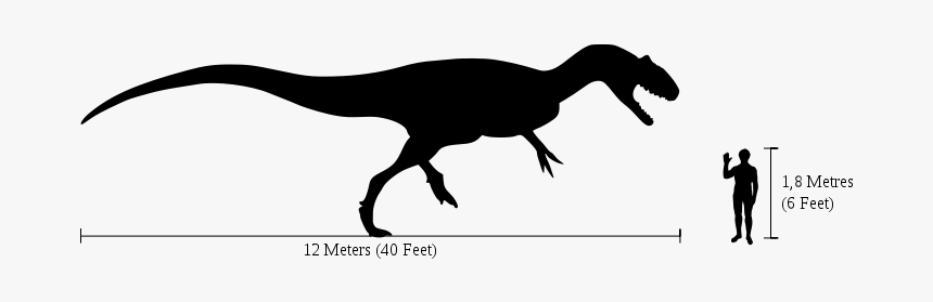 92-925325_human-allosaurus-size-comparison-allosaurus-size-comparison-to.png