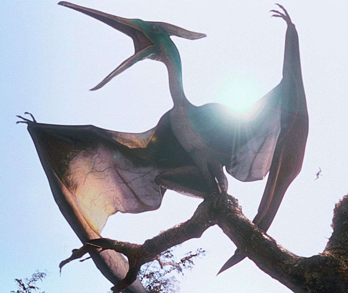 97 Pteranodon.jpg