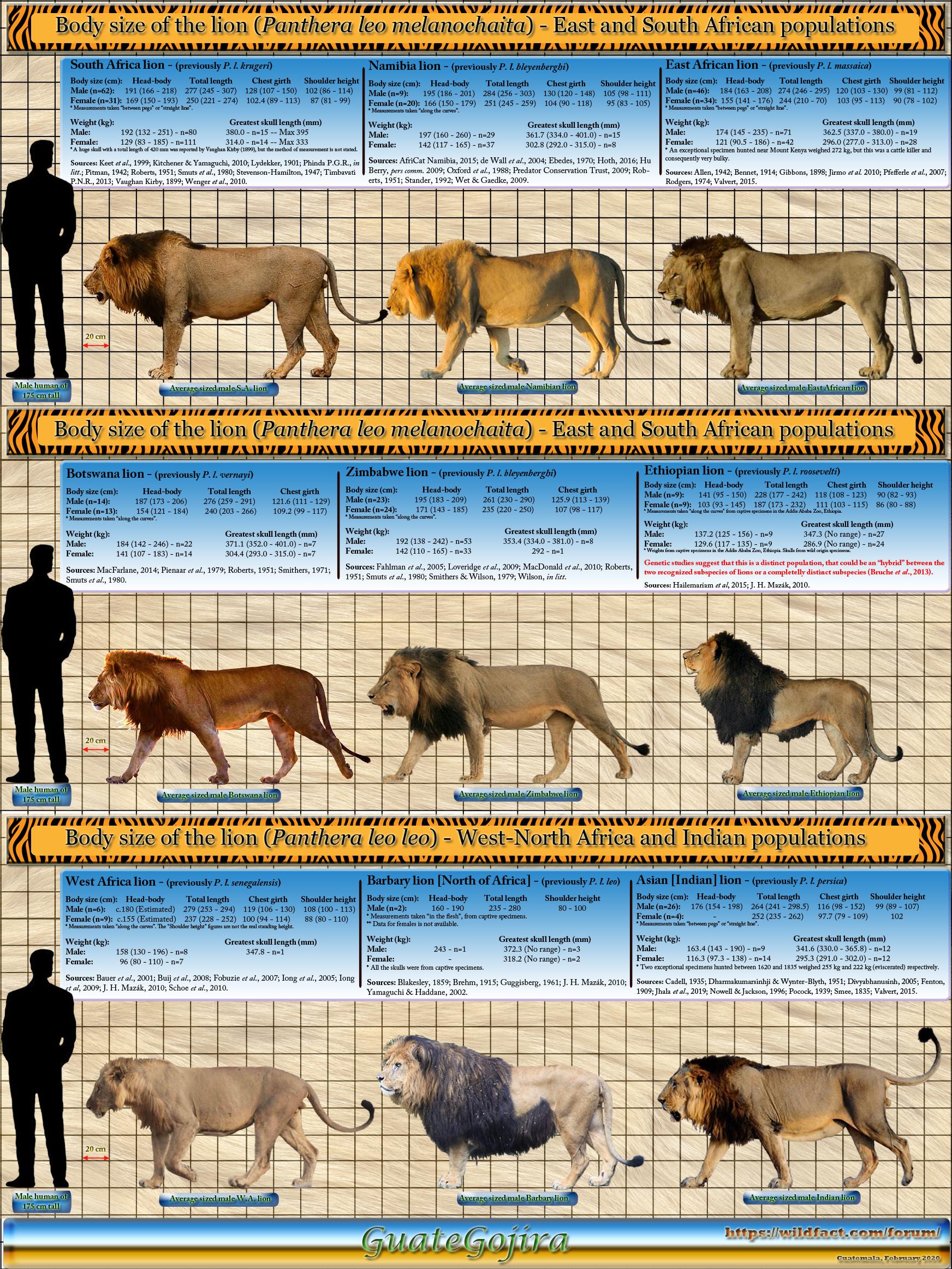 Animal Size Comparison | Frontier Forums
