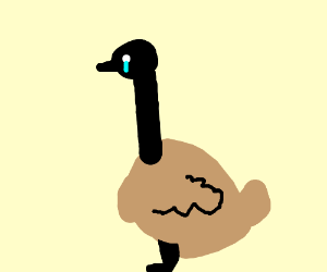9g4tDh2MSq-2.png