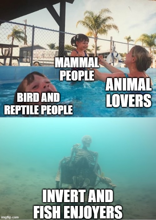 9mzf1c.jpg