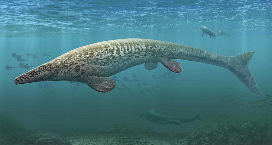 A-large-tylosaurus-aquatic-reptile-sergey-krasovskiy.jpg