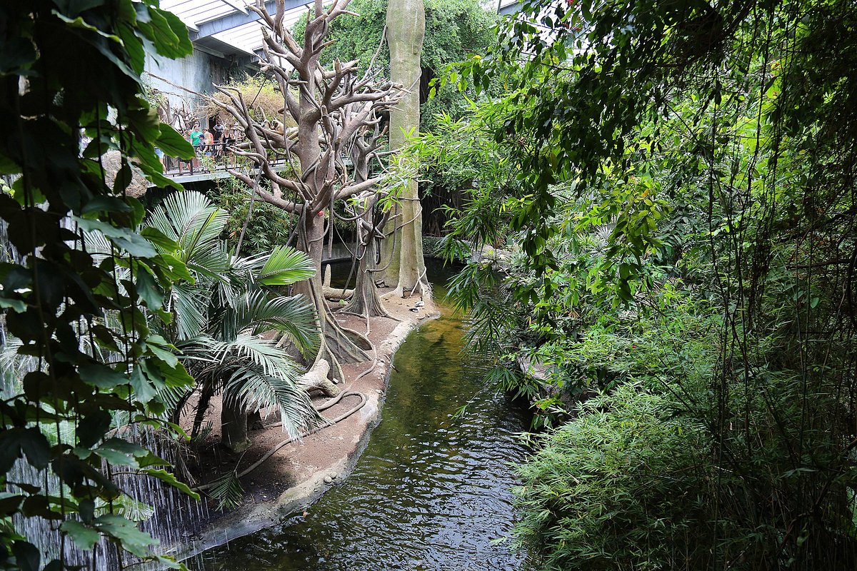 a-simulated-river-in.jpg