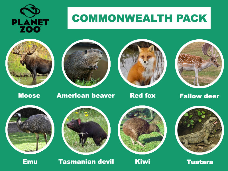 A10 - Commonwealth pack.jpg