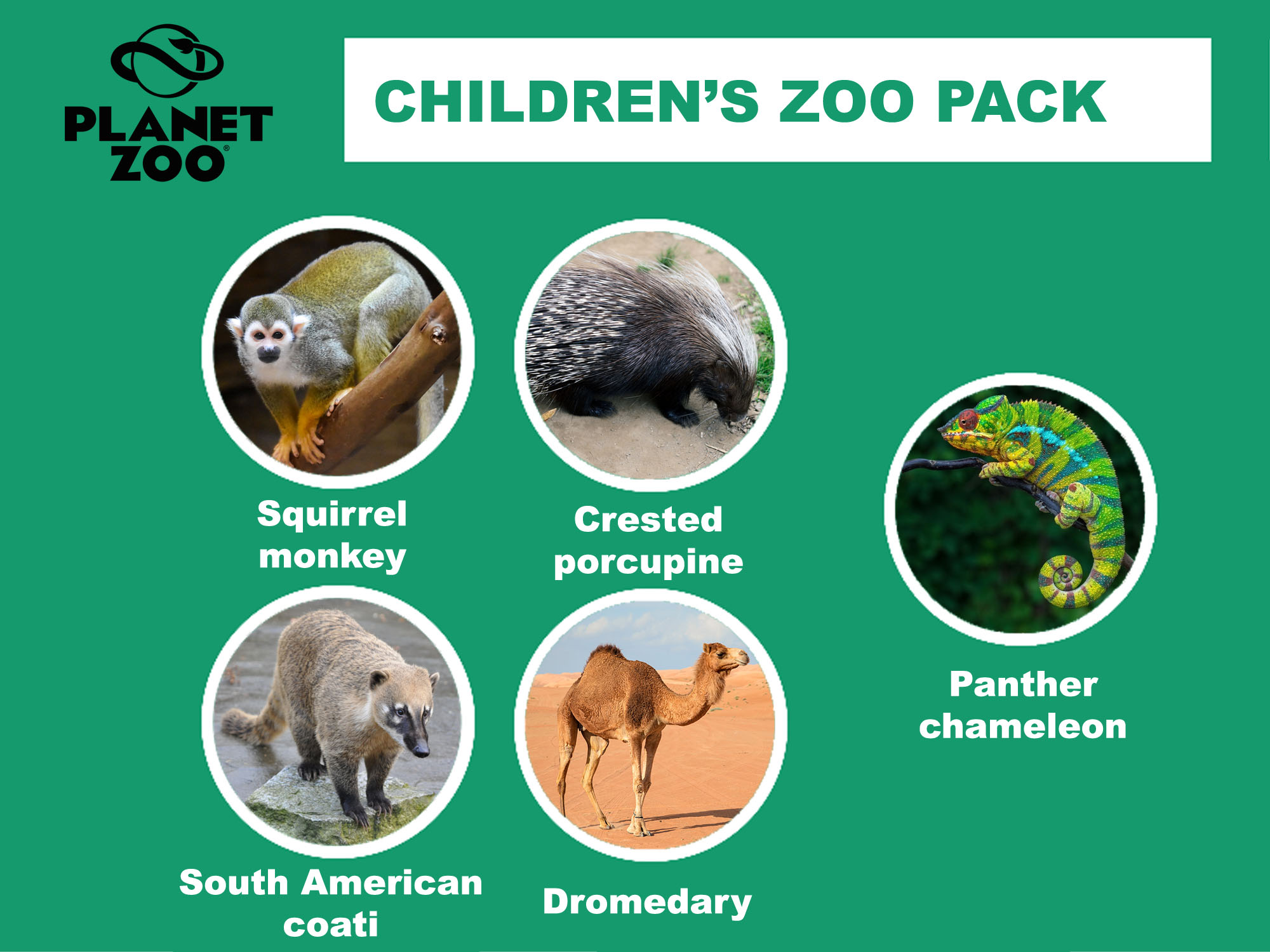 A12 - Children zoo pack copy.jpg