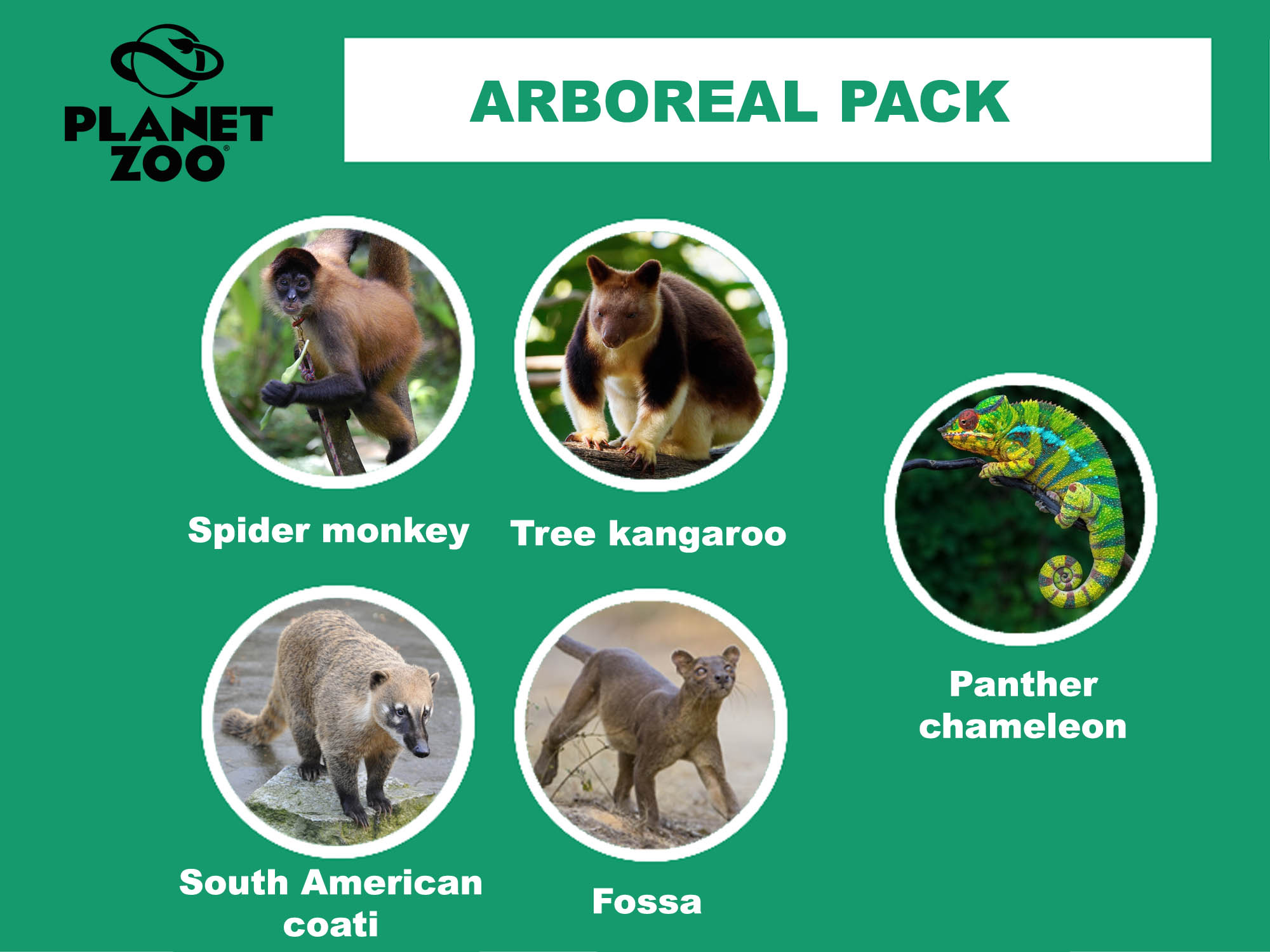 A3 - Arboreal pack.jpg