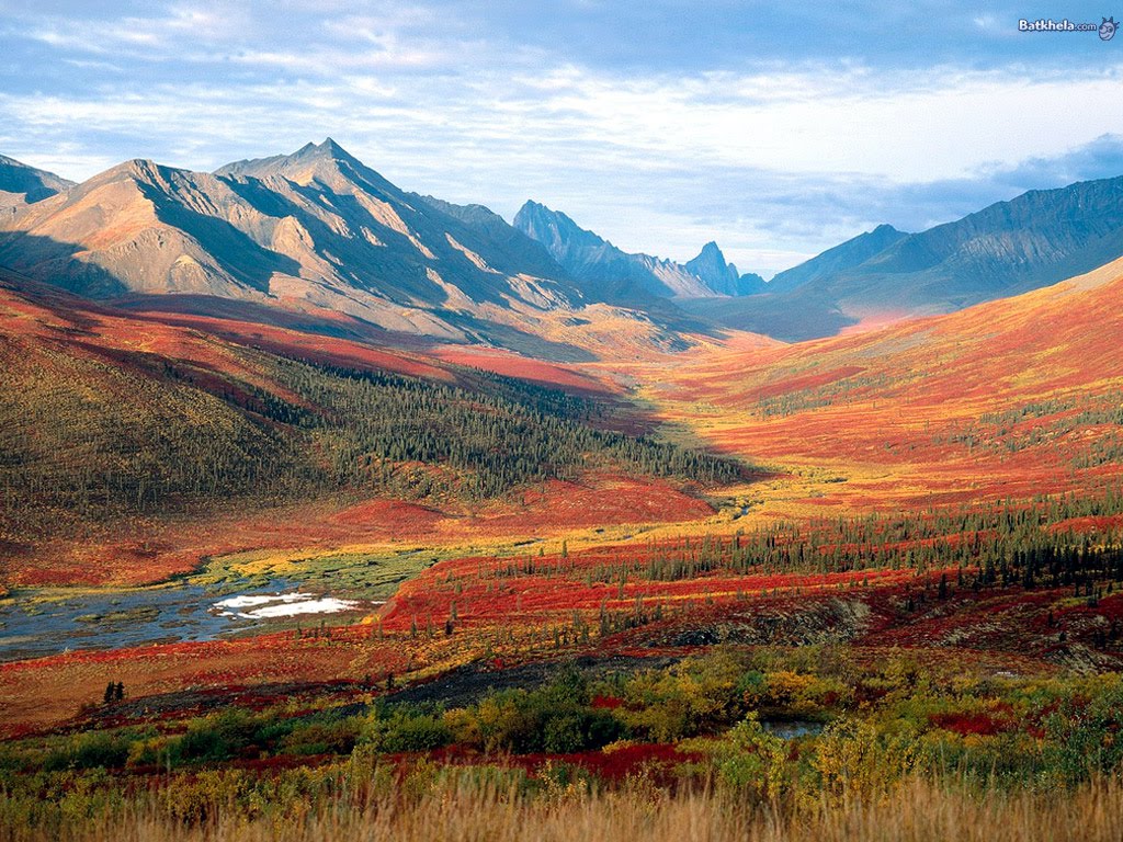 aa-natural-hills-1 (34).jpg
