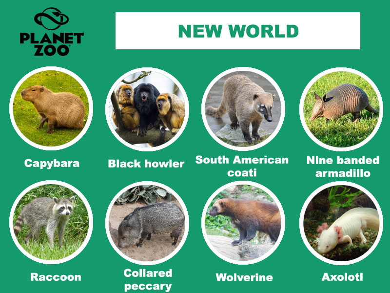 AA1 - New World.jpg