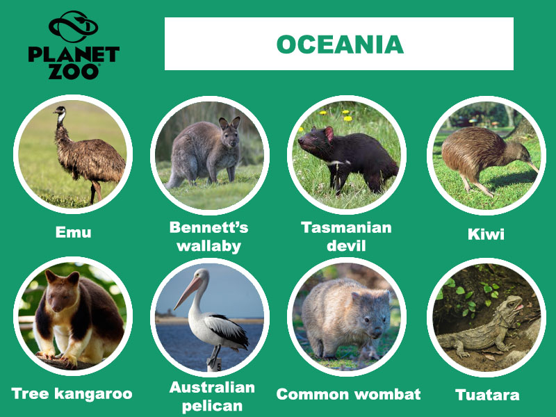 AA2 - Oceania copy.jpg