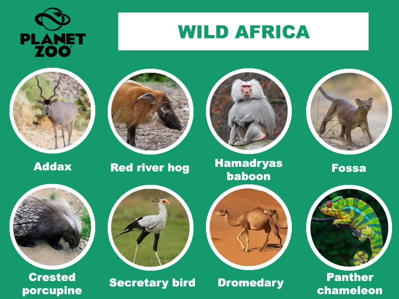 AA3 - WildAfrica copy.jpg