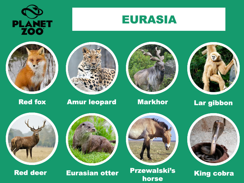 AA4 - Eurasia copy.jpg