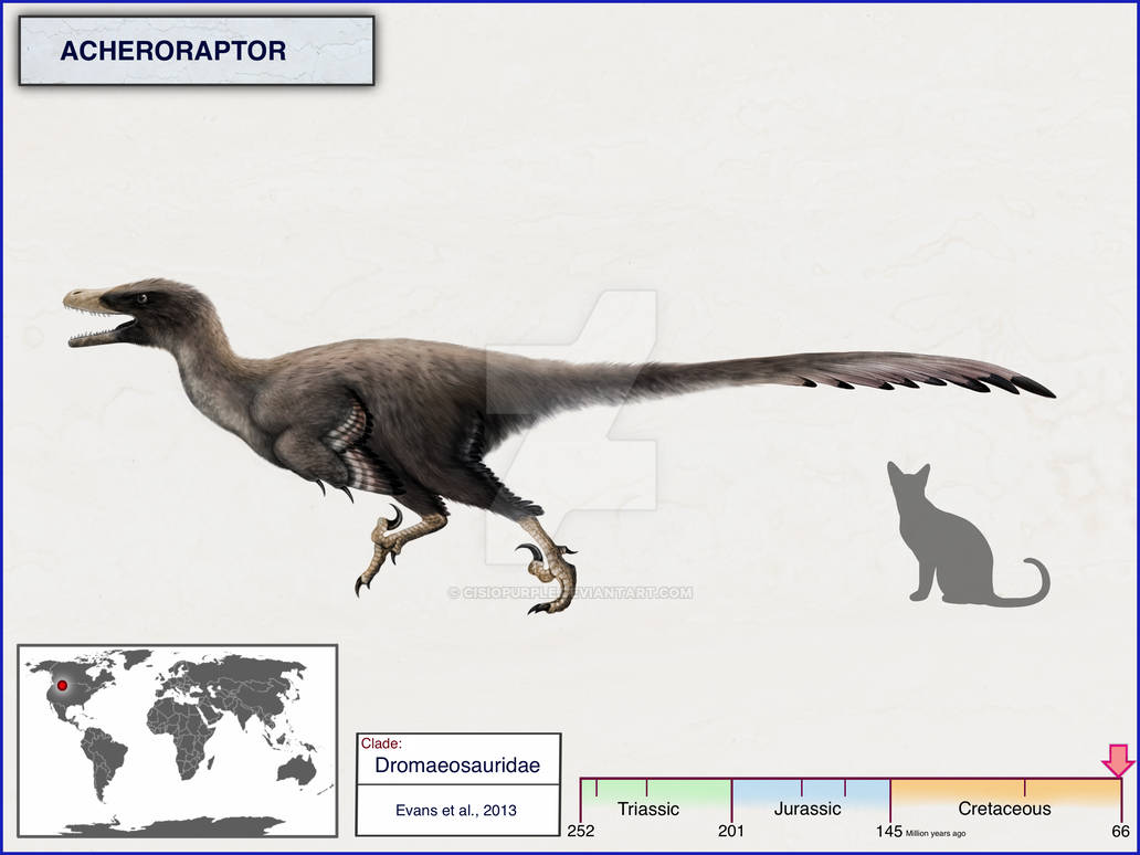 acheroraptor_by_cisiopurple_davntck-pre.jpg