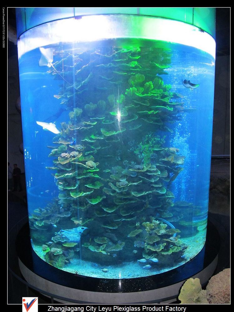 Acrylic-Cylindrical-Aquarium-Fish-Tank.jpg