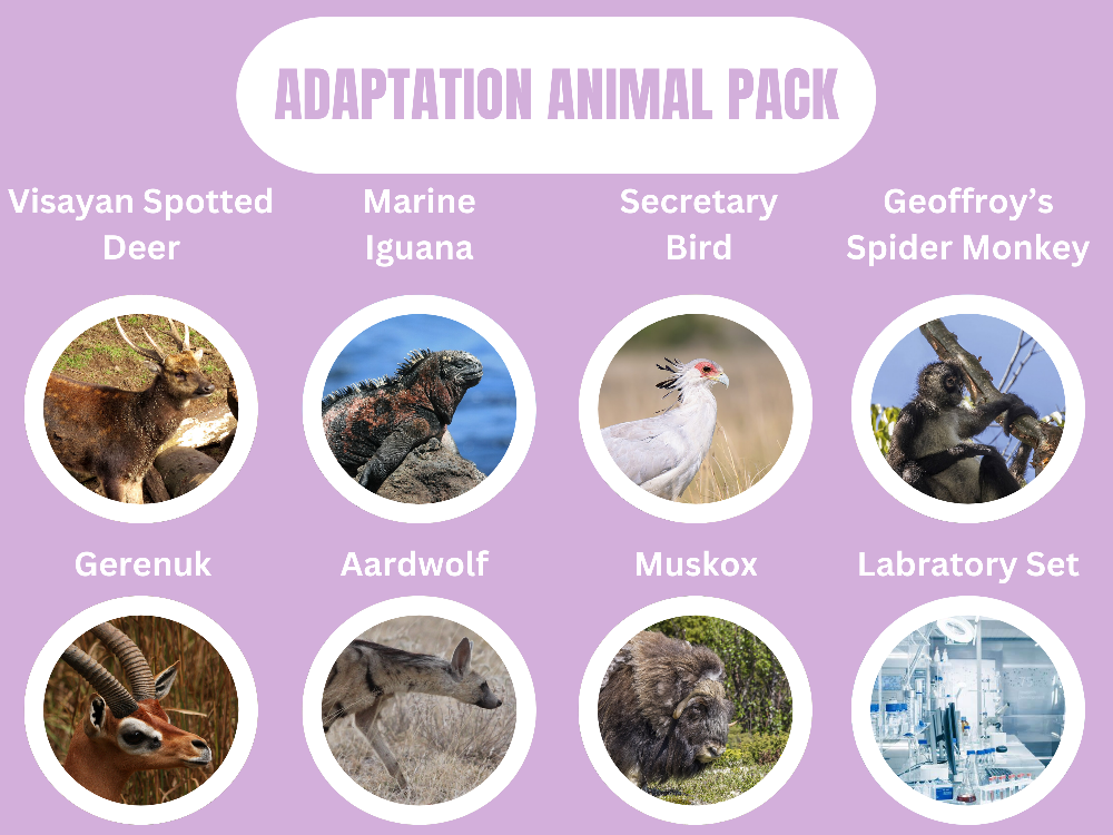 Adaptation Animal Pack.png