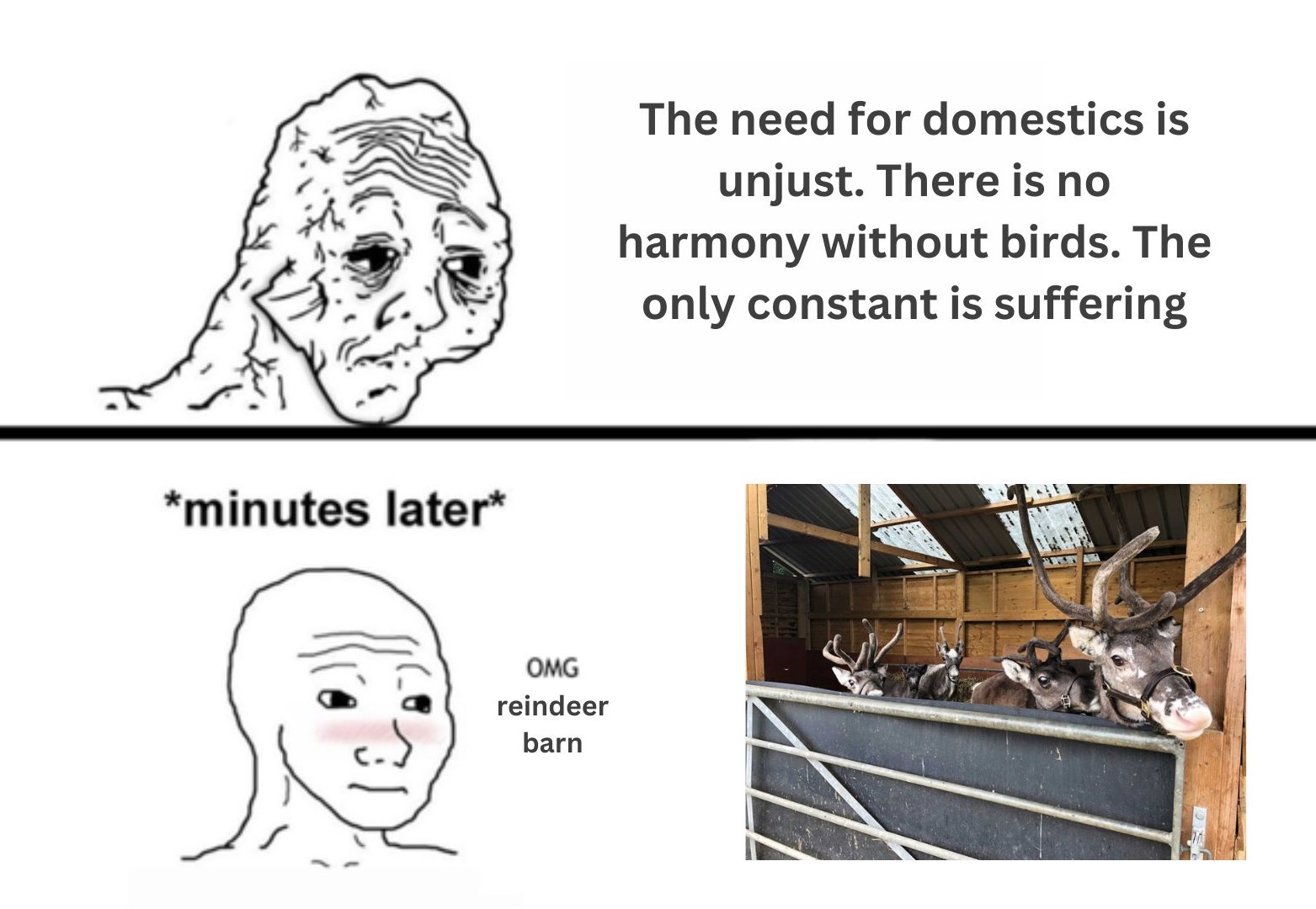 Add a heading.jpg