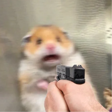 Adobe Express - file.png
