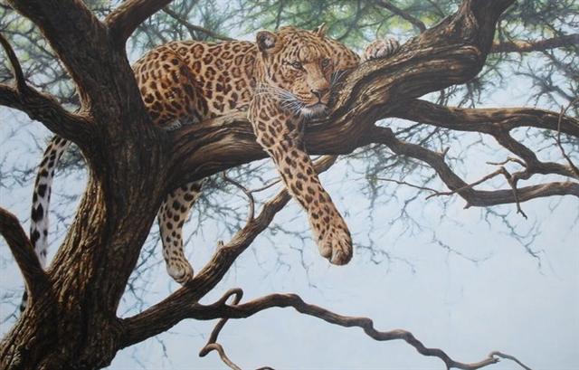 africaleopard-in-tree-impala-by-alan-m-hunt_orig.jpg