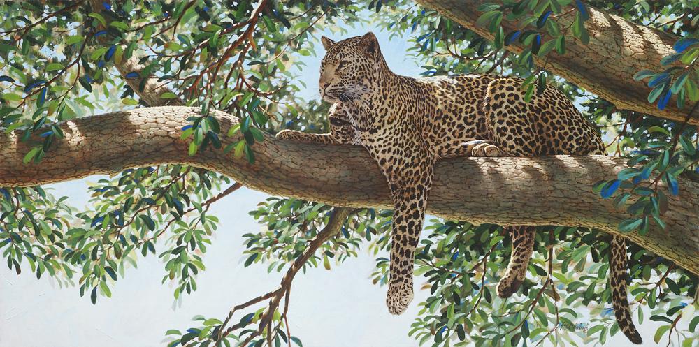 africaLiquidLeopard-Leopards-1.jpg