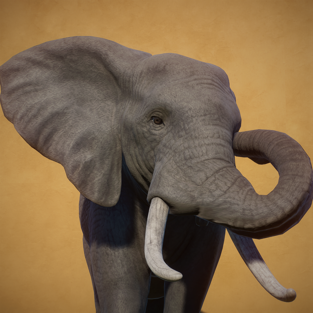 africanelephant-png.368351