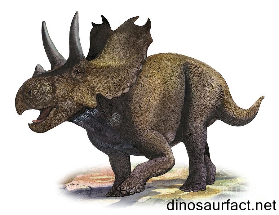 Agujaceratops2_ae35.jpg